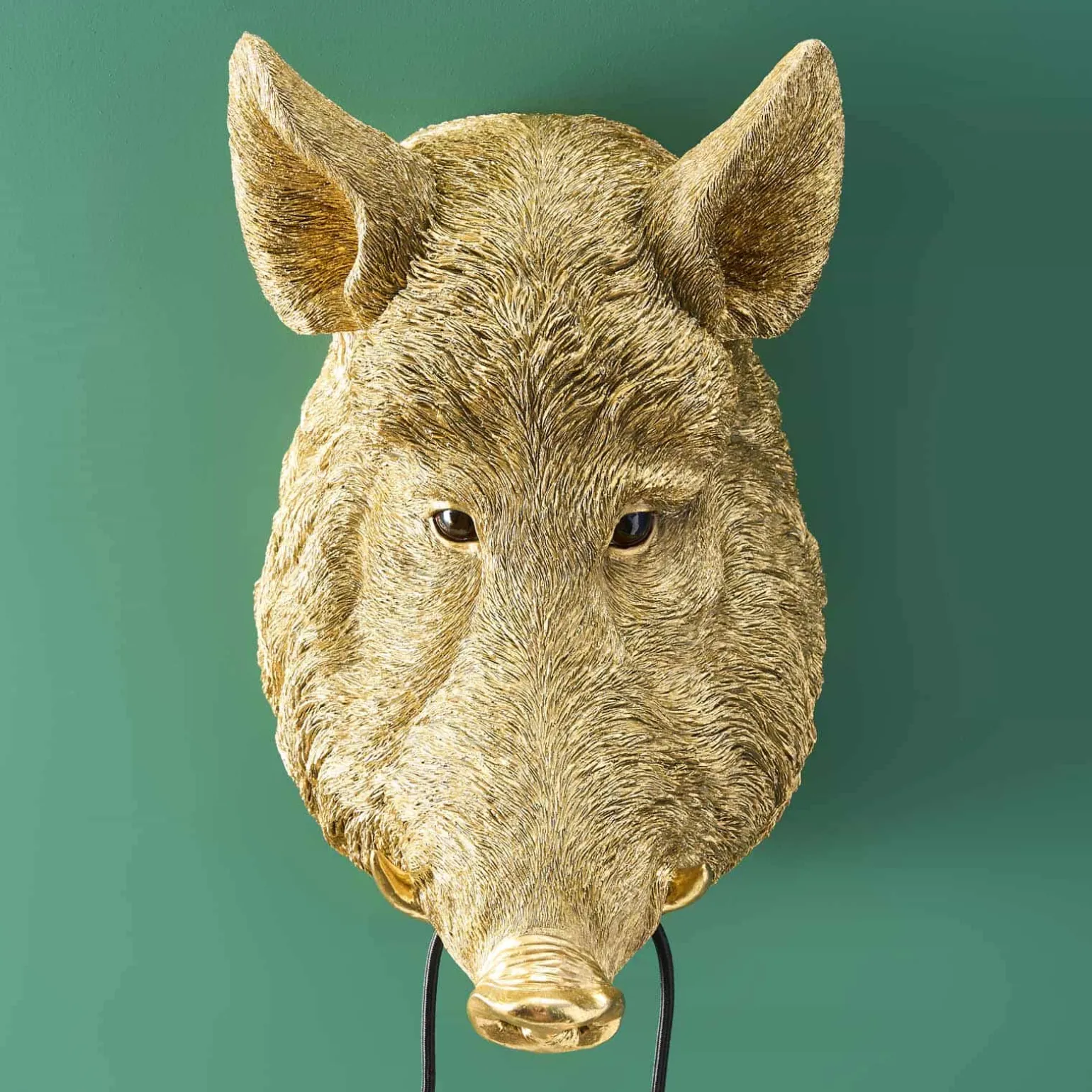 Applique sanglier / cochon Willy, or
