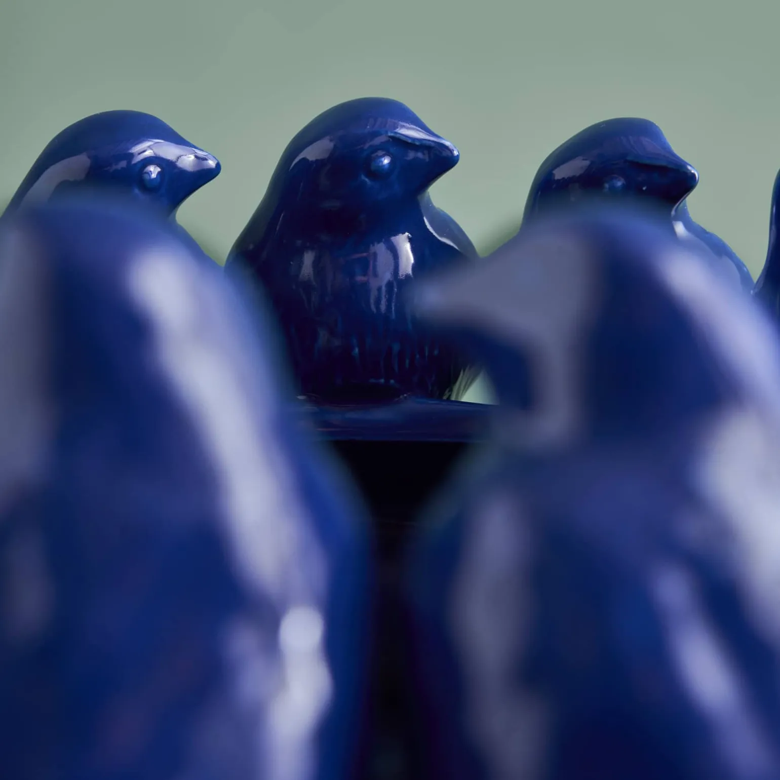 Bol avec des oiseaux Birds, bleu