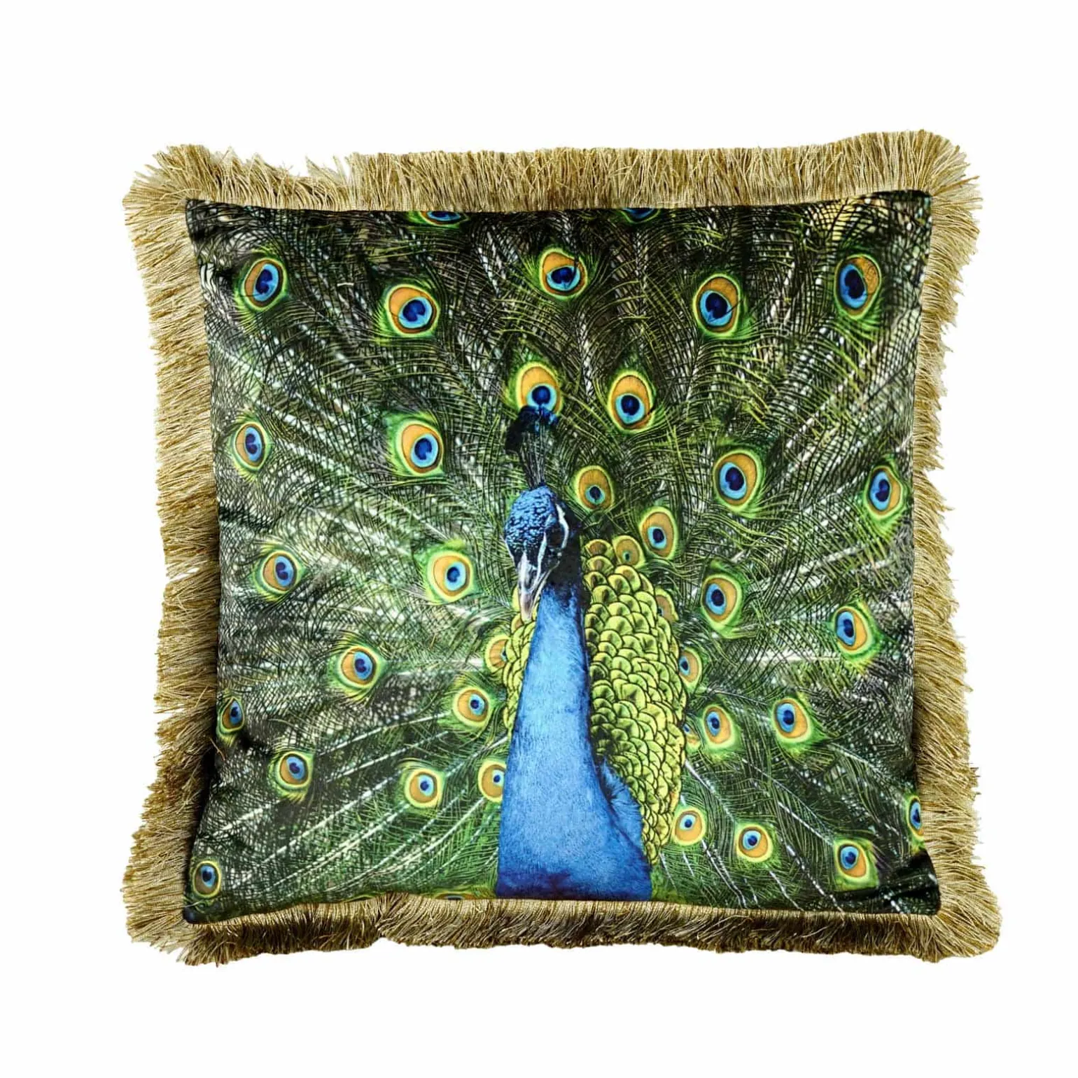 Coussin en velours paon Peacock, vert-or